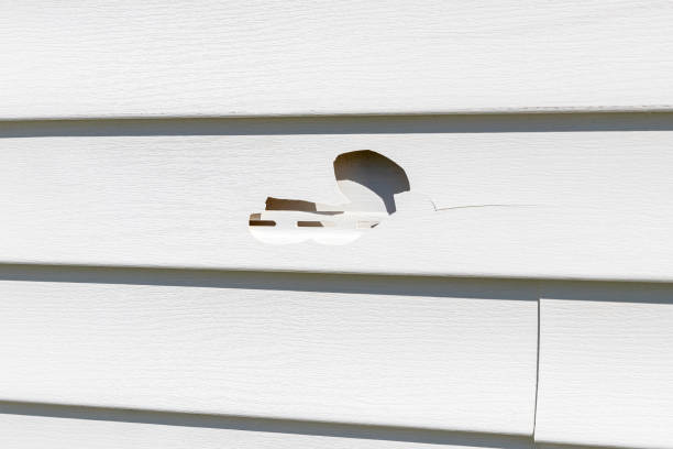 How To Choose The Right Materials for Your Siding Installation in 'Rural Hill, TN